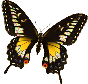 [ID: A butterfly with a complex pattern, composed primarily of black, yellow, and glittering white. End ID]