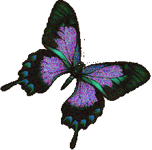 [ID: A butterfly. The wings have glittering black edges and glittering purple centers. End ID]