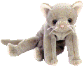 [ID: A Beanie Baby named Scat. It's a solid taupe-colored cat with a small pink nose and pink whiskers. End ID]