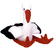 [ID: A Beanie Baby named Stilts. It's a white stork with black-tipped wings. Its beak, legs and feet are red-orange. End ID]